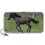 Galloping Horse Speakers