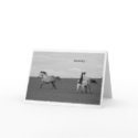 Galloping Horses in Pasture Greeting Card