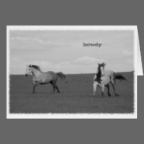 Galloping Horses in Pasture Greeting Card cards