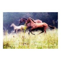 Galloping Horses Photography posters