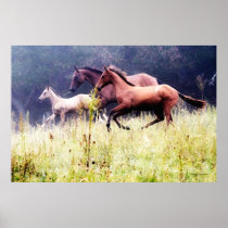 Galloping Horses Photography Posters