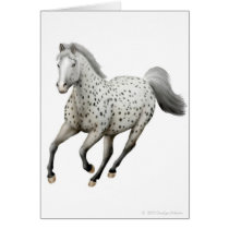 Galloping Leopard Appaloosa Horse Cards