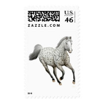 Galloping Leopard Appaloosa Horse Postage
