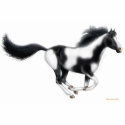 Galloping Paint Horse Holiday Ornament photo sculptures by twopurringcats Galloping Paint Horse Holiday Ornament photo sculptures