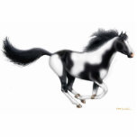 Galloping Paint Horse Holiday Ornament Photo Sculptures