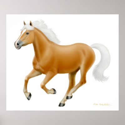 palomino galloping