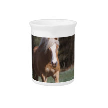 Galloping Palomino Pitcher