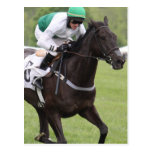 Galloping Race Horse Postcard