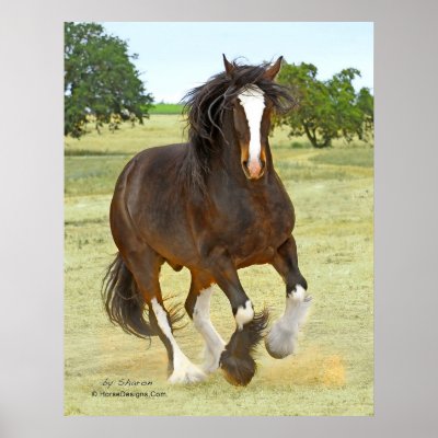 Galloping Shire Print