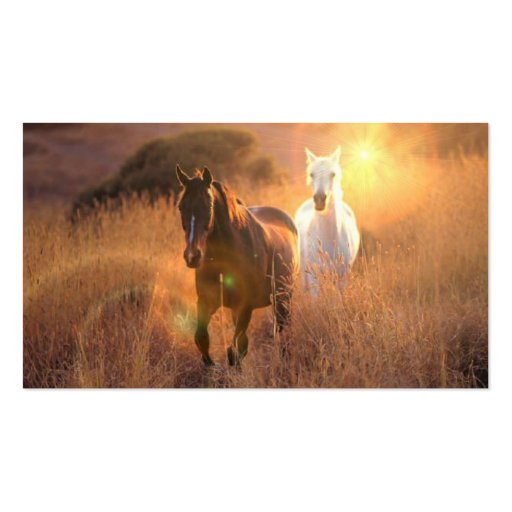Galloping Wild Horses Business Card (back side)