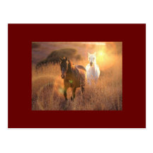 Galloping Wild Horses Postcard