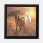 Galloping Wild Horses Square Magnet