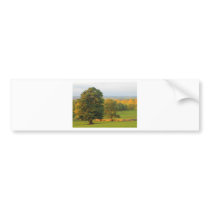 GALLOWS HILL BUMPER STICKER