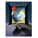 Gallus Domestica t-shirts