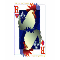 Gallus Galactica t-shirts