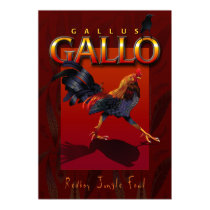 Gallus Gallo posters