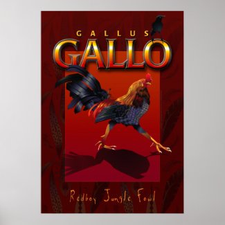 Gallus Gallo print