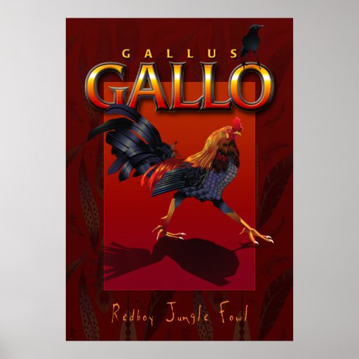 Gallus Gallo Posters