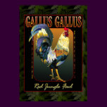 Gallus Gallus International