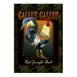 Gallus Gallus International