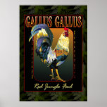 Gallus Gallus International Posters