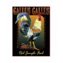 Gallus Gallus International t-shirts by Seedmother Gallus Gallus International t-shirts