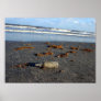 Galveston Seawall Poster