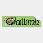 Galway (Gaelic) Bumper Sticker