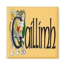 Galway (Gaelic) Magnet