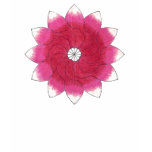 gambar jambu air, gambar jambu air t-shirts
