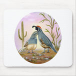 Gambel Quails Mouse Pads