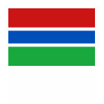 Gambia Flag Map Spaghetti Top