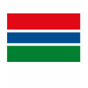 Gambia Flag T-shirt