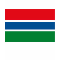 Gambia Flag T-shirt by FlagTshirts Gambia Flag T-shirt