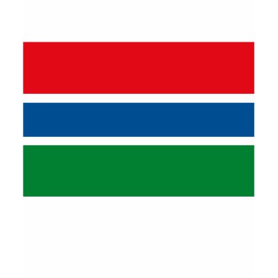 Flag of Nations : Gambia Flag T-Shirt