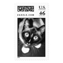 gambolbw2.jpg postage by sheramcgyver gambolbw2.jpg postage