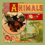Game Animal Book Cover