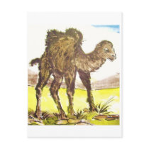 Game camel, game Camel * animal art * Animal ARTca Post Card