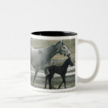 Game Gal and Farley Mug
