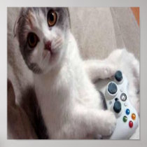 Gaming Cat - poster