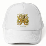 Gamochonia Cap Hat