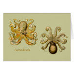 Gamochonia Horizontal Note Card