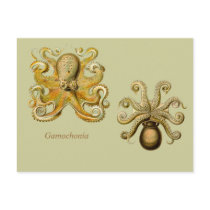 Gamochonia Horizontal Postcard