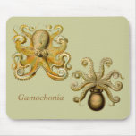 Gamochonia Mouse Pad