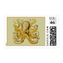 Gamochonia Postage