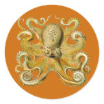 Gamochonia Stickers