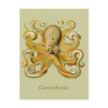 Gamochonia Vertical Postcard