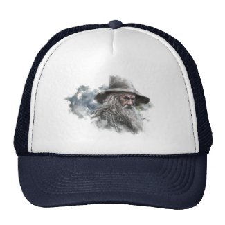 Gandalf Illustration Hats