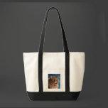 Gandalf - Silver Tabby Cat Art Bag