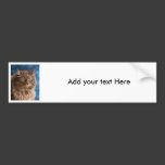 Gandalf - Silver Tabby Cat Art Bumper Sticker